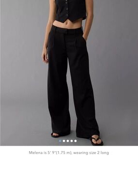 AE Stretch Extreme Wide-Leg Poppy Trouser